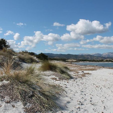 Vista Sul Mare E Tavolara Budoniaffitti Porto San Paolo  Eksteriør bilde