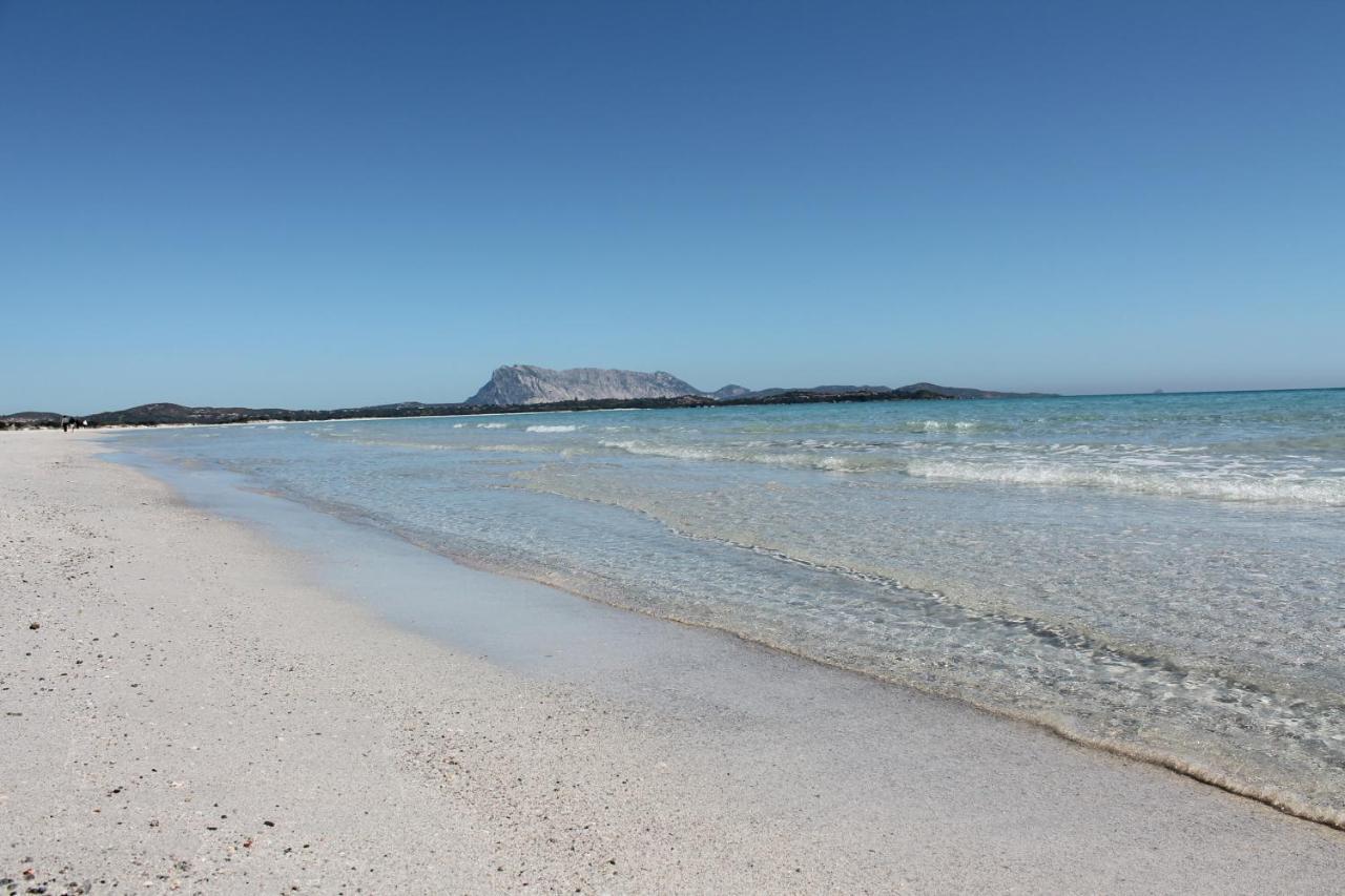 Vista Sul Mare E Tavolara Budoniaffitti Porto San Paolo  Eksteriør bilde