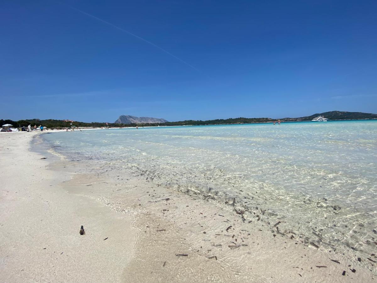 Vista Sul Mare E Tavolara Budoniaffitti Porto San Paolo  Eksteriør bilde